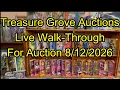 Treasure Grove Auctions Live Walk Through For Auction 8-12-2026
