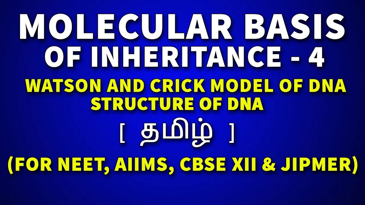Watson and Crick Model of DNA - Molecular Basis of Inheritance in Tamil (4) - Rajus Biology
