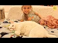 Download Lagu The Cat No One Could Touch, Not Even Her Mom. Until a Little Girl Came Along