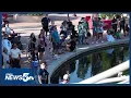 Why Hundreds of Dogs Are Taking Over the Pueblo Riverwalk