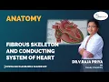 Download Lagu Fibrous skeleton and conducting system of heart