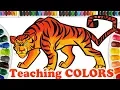 Drawing Tiger Coloring Tiger Colors For Kids and Toddlers Coloring Pages