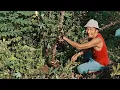 OST. Dilan ITB 1997 Full Album 2026 | Ariel NOAH & NOAH | Senang Dengar Suaramu Lagi, ANCIKA