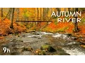 Download Lagu Autumn River Sounds -  Relaxing Nature Video - Sleep/ Relax/ Study - 9 Hours - HD 1080p