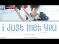 Lagu I Just Met You (偏偏遇见你) - Song Yiren (宋伊人)《Professional Single OST》《我凭本事单身》Lyrics