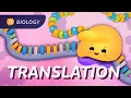 Translation How RNA Gets Translated into Protein Power Crash Course Biology