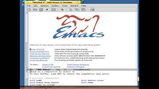 Haiku OS Emacs a Python IDE works and installed fortran