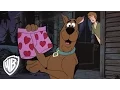 Download Lagu Scooby-Doo! | Puppy Power