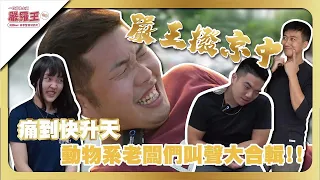 酸爽到升天❓❗️竟求師父下手輕一點😱動物系老闆們叫聲大合輯!!