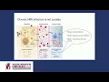 Updates in Hepatitis B Screening and Immunizations 2024 and Onwards