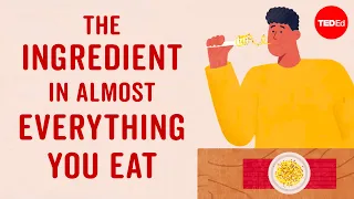 Download The ingredient in almost everything you eat - Francesca Bot MP3