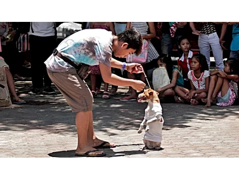 DA DOG SHOW | Trailer deutsch german [HD]