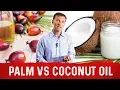Palm Oil vs Coconut Oil - Health Benefits of Coconut Oil Palm Oil