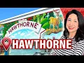 Hawthorne Florida Explained All You Need to Know about Hawthorne from a Local REALTOR