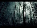 Forefather - Beholding The Daughters Of The Firmament