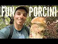 Download Lagu PORCINI MUSHROOMS 2025 - That ancient porcini mushroom had to be brought to safety... PRE-THROWN ...