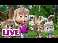 Download Lagu 🔴 LIVE STREAM 🎬 Masha and the Bear 🐷📸 Catch the Moment! ⚽ 🥅