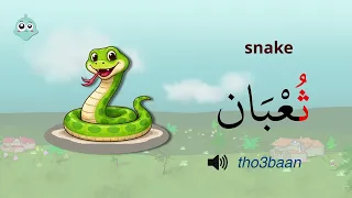                                                                      دندنها