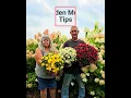 mum tip