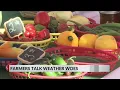 Abilene Farmer s Market vendors look forward to fall