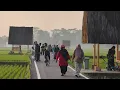 Download Lagu pagi nikmati sunrise Sawah lembur pakua