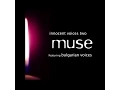 Download Lagu Muse - Innocent Voices
