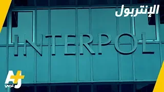 كيف تعمل منظمة الإنتربول 
