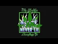 Download Lagu Wiz Khalifa - Never Lie feat.Moneybagg Yo [Official Audio]