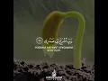 Download Lagu Дуа Мусы Робиш Рохли Содри