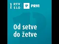 Download Lagu Namakanje vinogradov s pomočjo digitalnih orodij