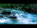 Download Lagu Soft River Tones | ASMR for Evening Wind-Down \u0026 Calm