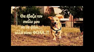 Manimal The Party Martik C Rmx 