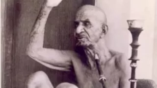 طناف ياونتي ونات محتار 