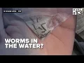 Are there worms in the water at the Douglas County Jail