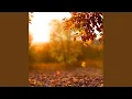 Download Lagu ketika daun mulai berguguran ♥