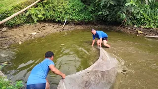 Vét ao cá trên Đán Dầu nhận tin chị ở cạnh chuồng gà gọi cháu Lành về. Nguyễn Tất Thắng