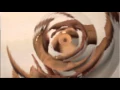 Open Frameworks - Radial Slit Scan