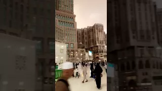 يرتوي بالحب قلبي حب خير رسل ربي 