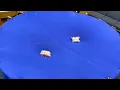 Number 17 Gravity Simulator