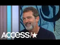 Antonio Banderas Dishes About How His Daughter Stella Is Going Into Acting Access