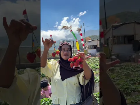 BIKIN KETAGIHAN PETIK BUAH
