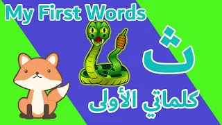                                                           ث  دندنها