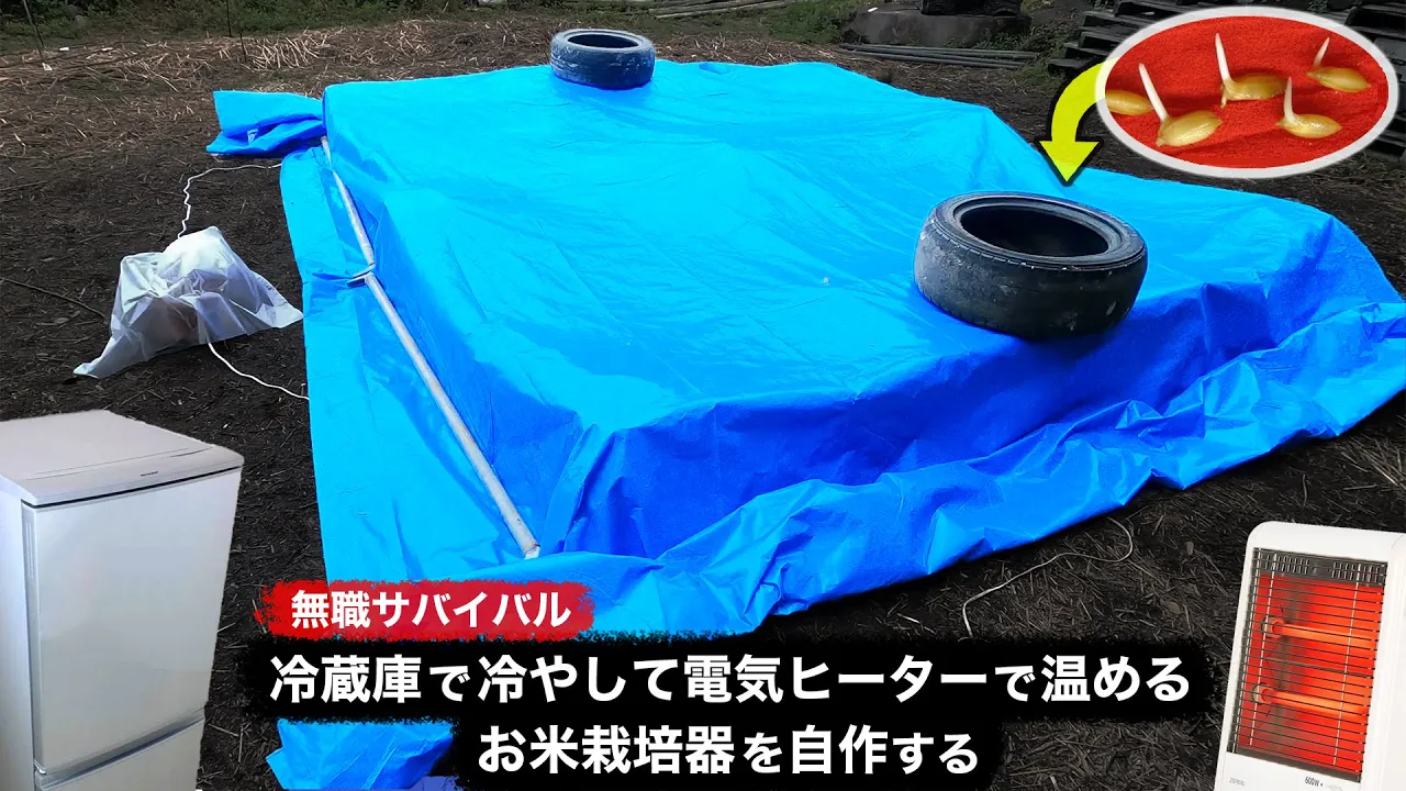 【無職サバイバル】冷蔵庫で冷やして電気ヒーターで温めるお米栽培器を自作する【限界集落で無職になる#37】