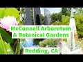 McConnell Arboretum Botanical Gardens Turtle Bay Exploration Park Redding California