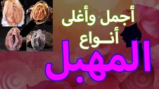 أجمل شكل مهبل يحبه كل الرجال 