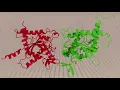 Draft Molecular Recognition at Septin Interfaces