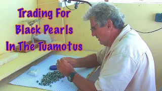#37 Trading For Black Pearls In The Tuamotus!!
