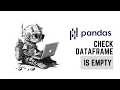 Check if Pandas Dataframe is Emtpy Python Tutorial
