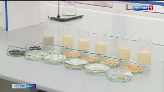 Омские ученые создали уникальное молоко — из обычного гороха