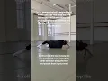 EASY floorwork tutorial
